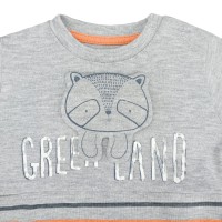 Σετ με Ρακούν και Σκούφο